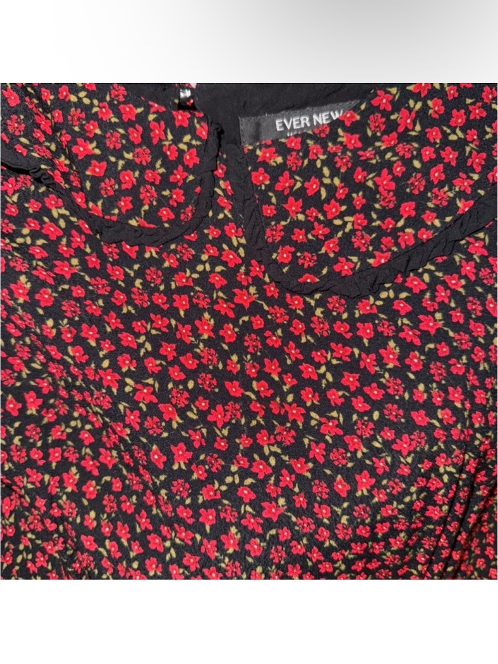 Ever New Burgundy Floral Maxi Dress with Black Peter Pan Collar - Picture 4 of 11
